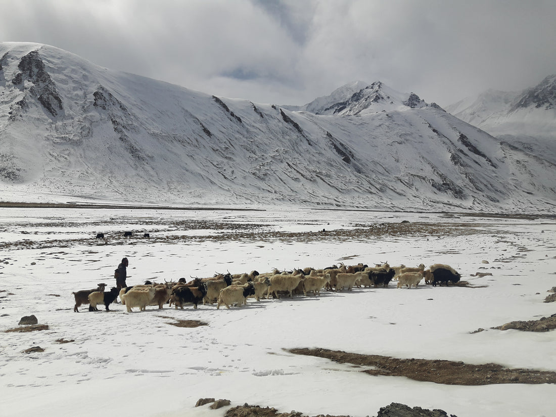 The success story that’s Looms of Ladakh by Lalit Shastri